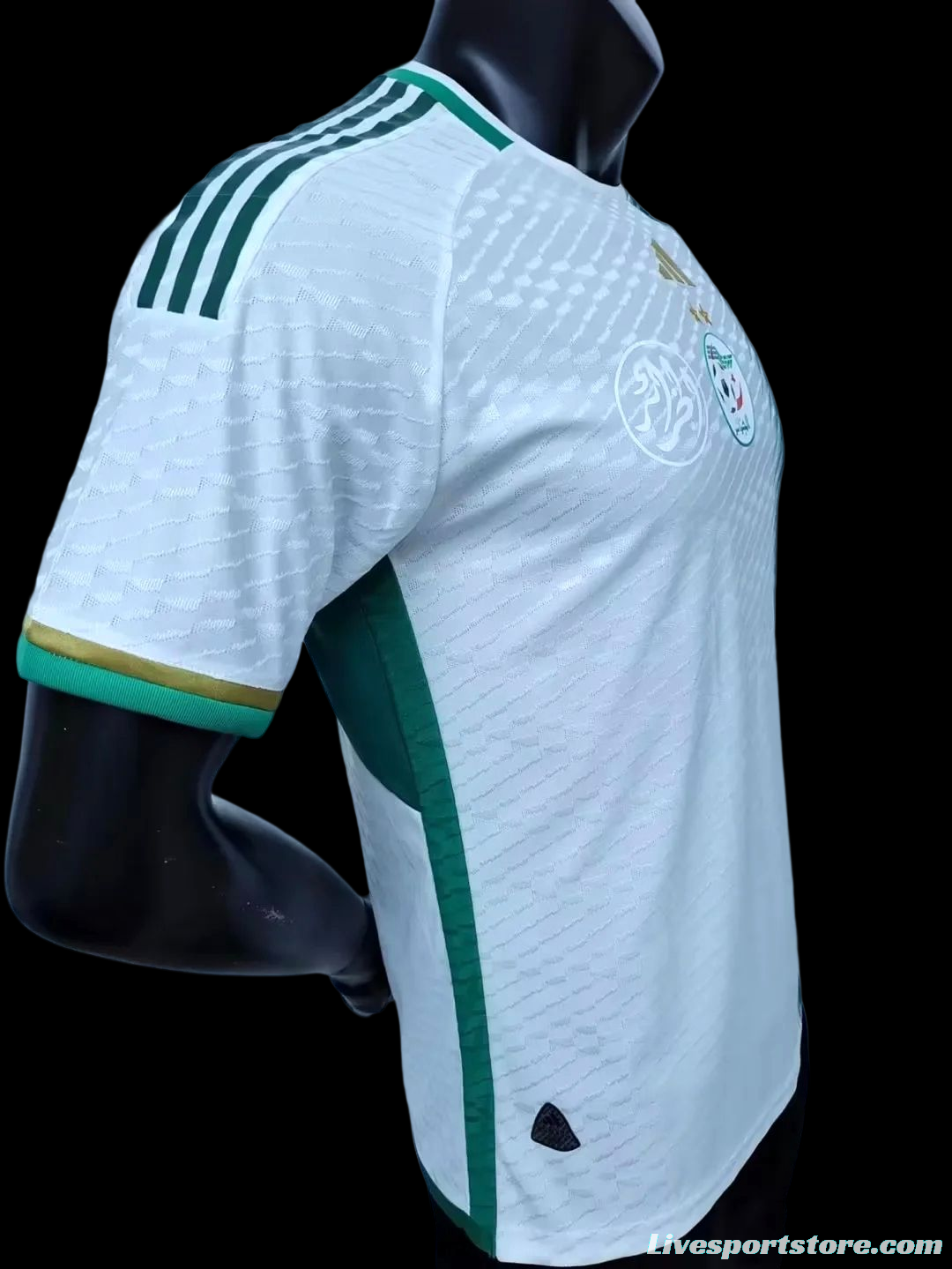 Player Version 2022 Algeria Home Jersey